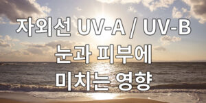 자외선 UV-A / UV-B이 눈과 피부에 미치는 영향