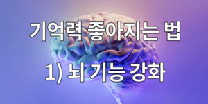 기억력 좋아지는 법, 뇌 기능을 강화하는 방법은?