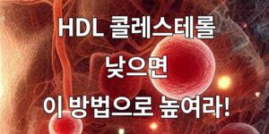 HDL 콜레스테롤 낮으면 이 방법으로 높여라!