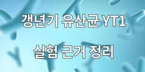 갱년기 유산균 YT1, 효과 실험 근거 확인해 보세요!