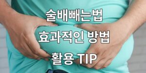 술배빼는법, 효과적인 방법과 활용 TIP