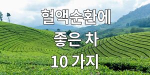 혈액순환에 좋은 차, 10가지를 소개합니다.