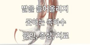 발을 들어올리지 못하는 족하수, 원인과 증상, 치료방법